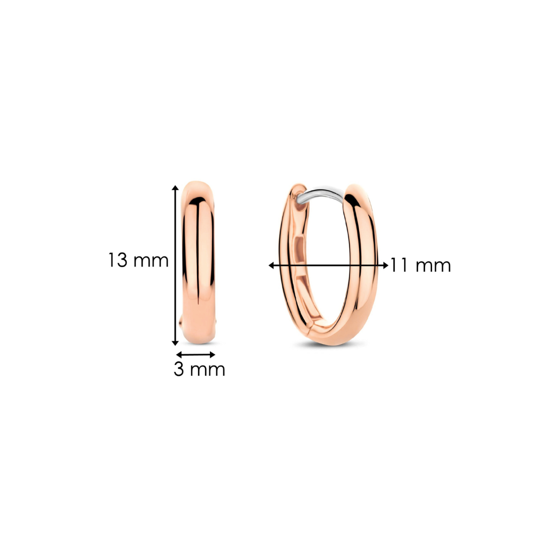 TI SENTO Earrings 7759SR
