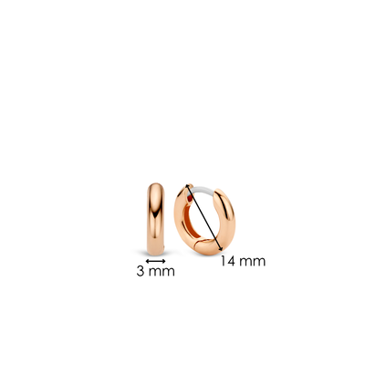 TI SENTO Earrings 7210RS