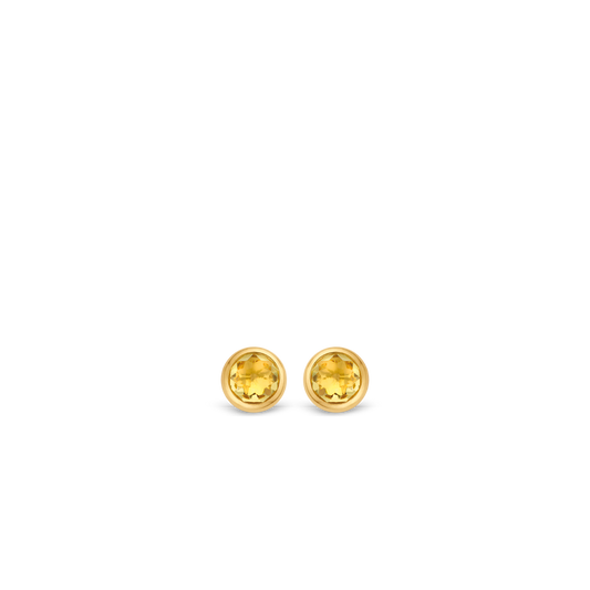 TI SENTO Earrings 7748TY