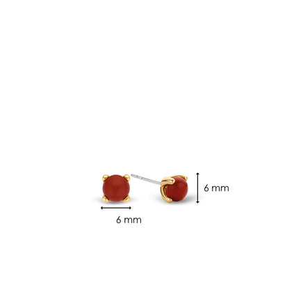 TI SENTO Earrings 7768CR