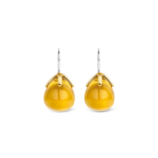 TI SENTO Earrings 7769TY