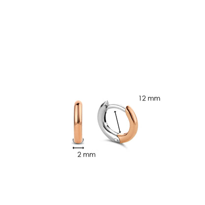 TI SENTO Earrings 7811SR