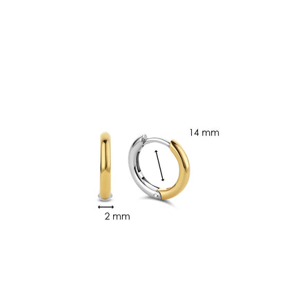 TI SENTO Earrings 7812SY