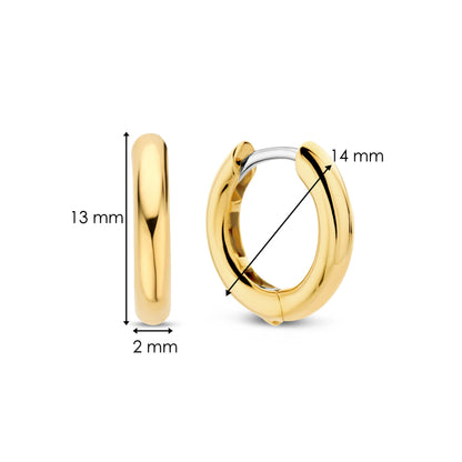 TI SENTO Earrings 7812YS