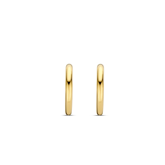 TI SENTO Earrings 7917SY