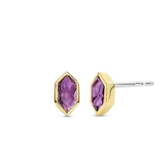 TI SENTO Earrings 7944PU