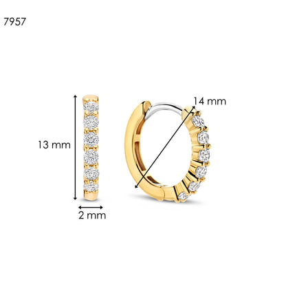 TI SENTO Earrings 7957ZY