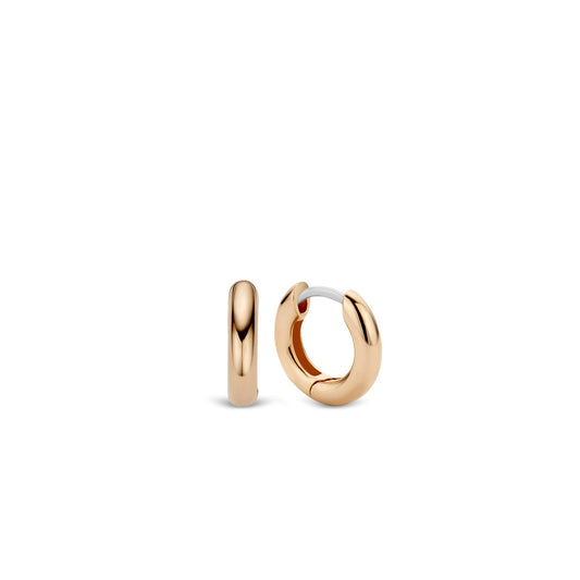 TI SENTO Earrings 7210RS